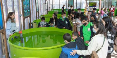 Meritta’da renkli bir gün geçirdiler