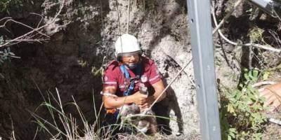 Kuyuya düşen oğlak kurtarıldı