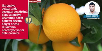 Narenciyede üreticiler isyanda:  "İşçi ve pazar bulunamadı  ürün dalında kaldı"