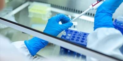 DSÖ'den "gizemli hepatit" açıklaması: Virüsün kaynağına dair en kuvvetli varsayım adenovirüsü işaret ediyor