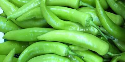 Yerli çarlistonda limit üstü kimyasal bulundu