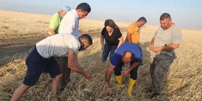 Dolu zararının karşılanması için çalışma başlatıldı
