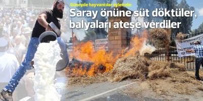 Güneyde hayvancılar öfkeli