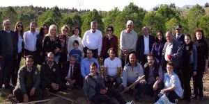 Vekiller fidan dikti