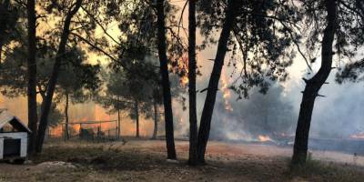 Güneyden yardım talebi