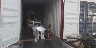 Mersin Limanı'ndan KKTC'ye: 5 kilo 800 gram uyuşturucu