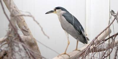 “Sadece bir gün sonra çok geç olabilirdi!”