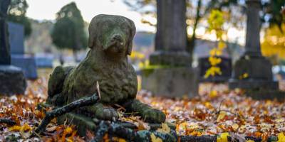 Güneyde ilk evcil hayvan mezarlığı açıldı