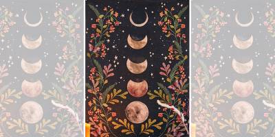 A  Conversation with David Brazier