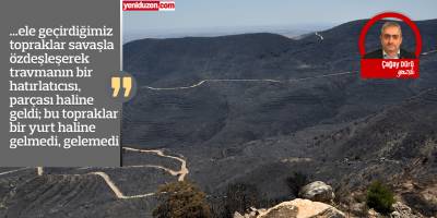 ORMANLARIMIZI NEDEN YAKIYORUZ?