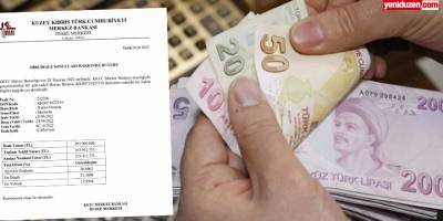 İhale 205 milyon TL, borçlanma 219 milyon TL