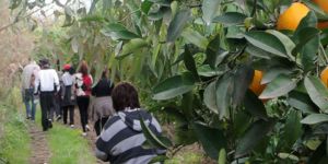 Çevreci turizm için yürüdüler