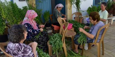 Molehiya ayıklamak yaz aylarının vazgeçilmezi