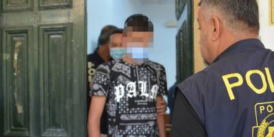 Tır dorsesi arkasında ülkeye kaçak girdi, hırsızlık yaptı