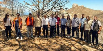 Meclis Araştırma Komitesi yangın bölgesini yerinde inceledi