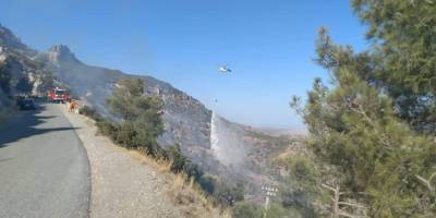 Alevkayası'ndaki yangın söndürüldü