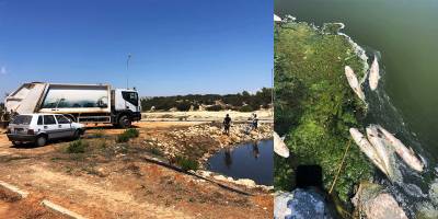 Bafra’daki 'şüpheli' balık ölümlerinin ardından inceleme başlatıldı