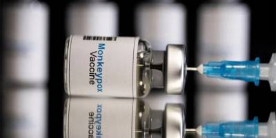 Güneyde "maymun çiçeği aşısı" arayışı