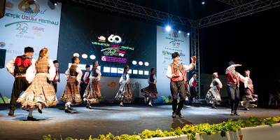 Mehmetçik Üzüm Festivali başladı