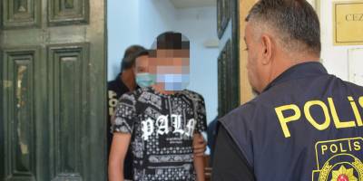 ‘Tır dorsesinde kaçak geldi, hırsızlık yaptı’