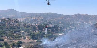 Yeşilırmak yangınına 1 tutuklu