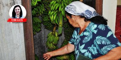 Muz üreticileri de dert küpü: “Sektöre verilen destekler yok denecek kadar az!”