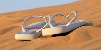 Editörün notu – Sayı: 495