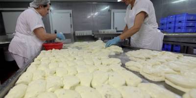 Hellimde küçükbaş hayvan sütü oranı kararnameyle yüzde 30’dan yüzde 20’ye çekildi