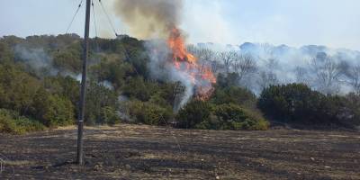 1 haftada 8 yangın meydana geldi