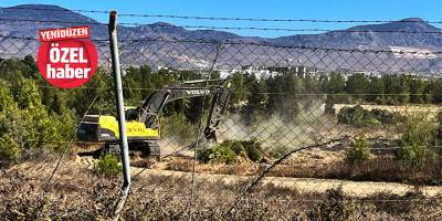 Bu ağaçlar Külliye için mi kesiliyor?