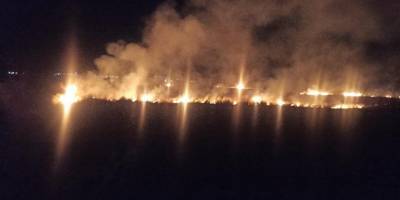 2 dönümlük alan yandı