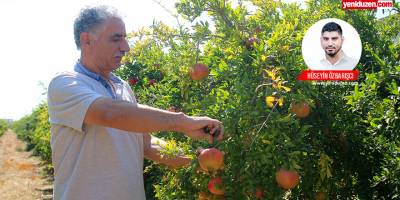 ‘Maliyetler çok arttı, üretim de, rekolte de düştü, ihracat durdu’