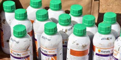 Bu sivrisineğe dikkat: Bulaştırıcı hastalık yayıyor