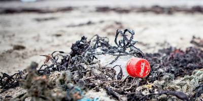 BM İklim Değişikliği Konferansı bu yıl “Coca Cola” sponsorluğunda yapılıyor