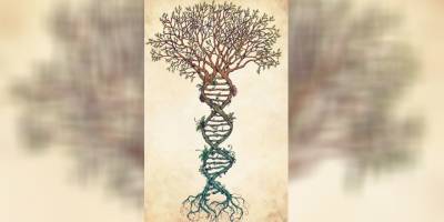 Psikoloji’nin Kötüye Kullanımındaki Son İstismarcısı Aile Dizimi mi?