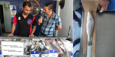 Hayvancılık Dairesi denetimlerine devam ediyor