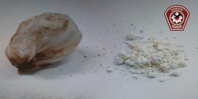 "Son Sefer Operasyonu": 5 tutuklu