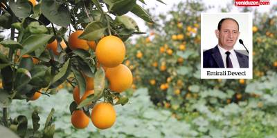 Deveci: “Tarım Bakanlığı’nın narenciye ve narenciye üreticisini gözden çıkarması söz konusu değil”