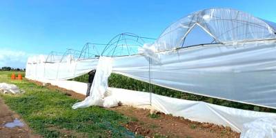 Seraları fırtınadan zarar gören 11 üreticiye tazminat ödendi