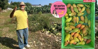 Annesinin ektiği 45 yıllık babutsadan, 420 ağaçlık üretime…