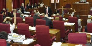 TDPnin Askerlik Yasa Önerisine oyçokluğu