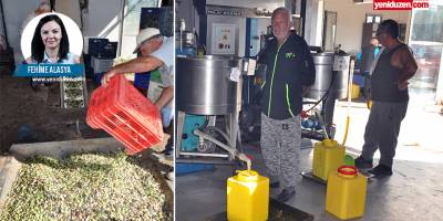Zeytin rekoltesi üreticiyi güldürdü