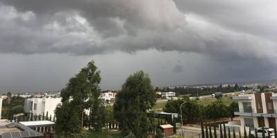 Orman arazileri peşkeş çekiliyor