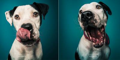 Her Can Hayata Katılan Bir Heyecan