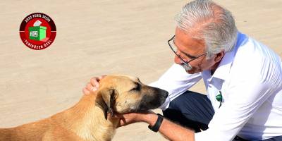 Bican: "Güzelyurt'a 'Hayvan Barınağı' yapmak önceliğimiz olacak"