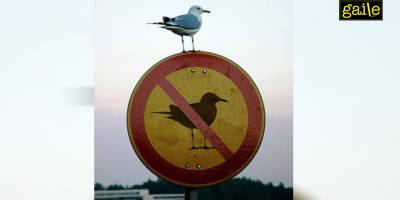 Bir Muhalifin Günlüğü: Direniş