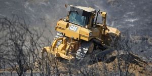 Yeşilırmaka 20 bin fidan