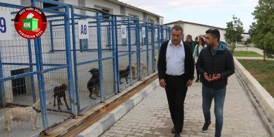 Uluçay: “Daha göreve gelmeden yasal değişiklik yaptırdık”