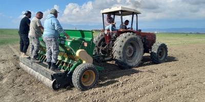 Çiftçiler Birliği sertifikalı arpa buğday tohumları için adaptasyon gözetleme parselleri kurdu