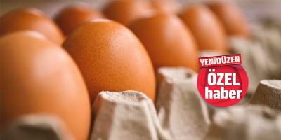 Tavuk ve yumurtaya zam!